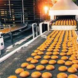 Food and Beverage Industry client sector